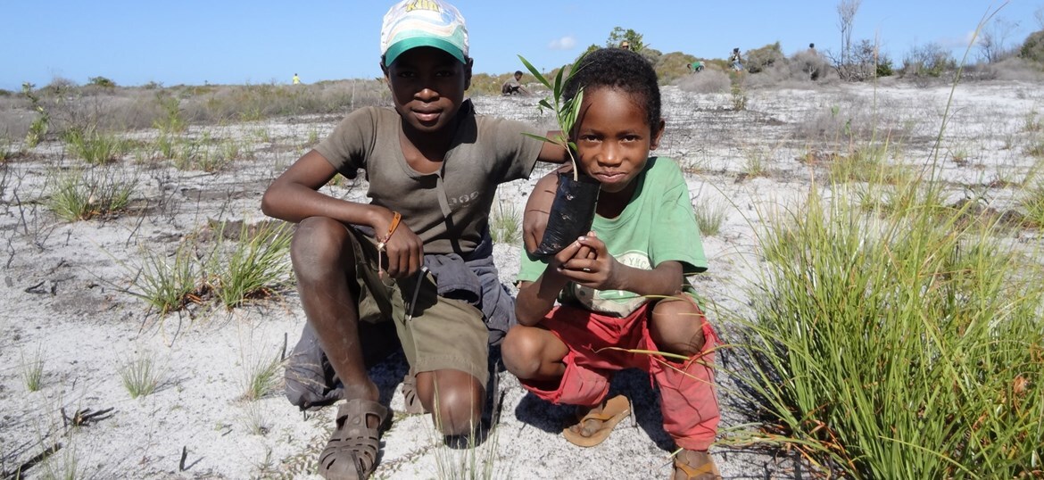 Tree Planting in Madagascar with JTree